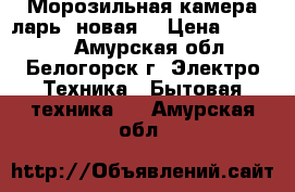 Морозильная камера/ларь (новая) › Цена ­ 10 000 - Амурская обл., Белогорск г. Электро-Техника » Бытовая техника   . Амурская обл.